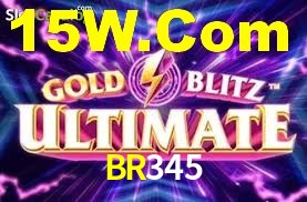 Programa VIP BR345