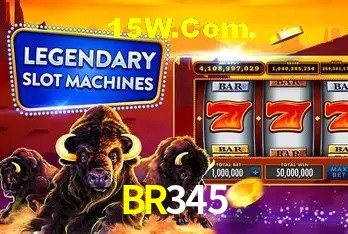 Ofertas Exclusivas BR345